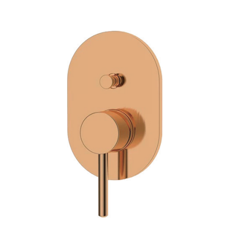 MFL169A Built-in Shower Systems